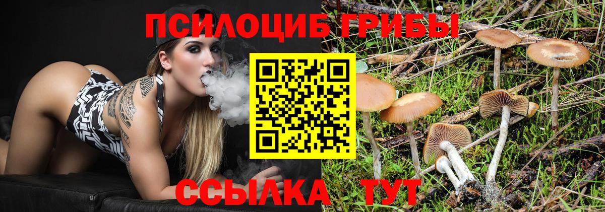 Прохладный  Псилоцибиновые грибы GOLDEN TEACHER  Вход с VPN 